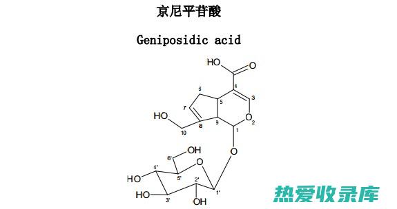 中药京子的功效 (中药京子别名)