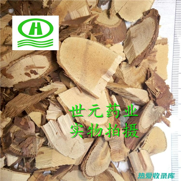 黄机子根的卓越功效：探索其强大的药用价值 (黄机根草药的功效)