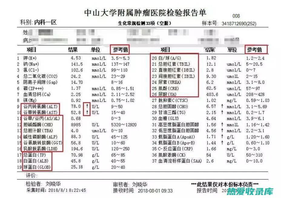 保肝护肾(保肝护肾中成药哪个效果好)