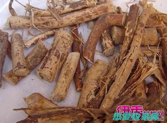 治咳嗽的中药：了解哪些中药能缓解咳嗽症状 (治咳嗽的中药饭前吃还是饭后吃)