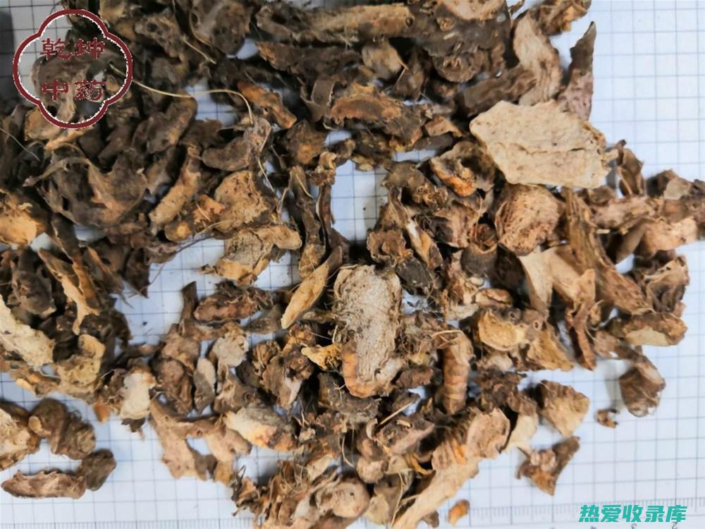 川射干：一种传统中药，具有多种治疗功效 (川射干的功效与作用的功效和作用是什么)