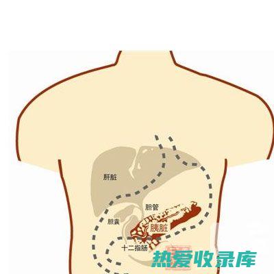 调理肝胆的天然良药：中药的功效和应用 (调理肝胆的天气有哪些)