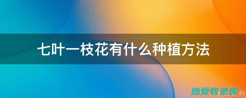 野生七叶一枝花的功效 (野生七叶一枝花收购价)