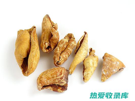 中药穿山甲：其功效与应用 (中药穿山甲的用途与疗效)