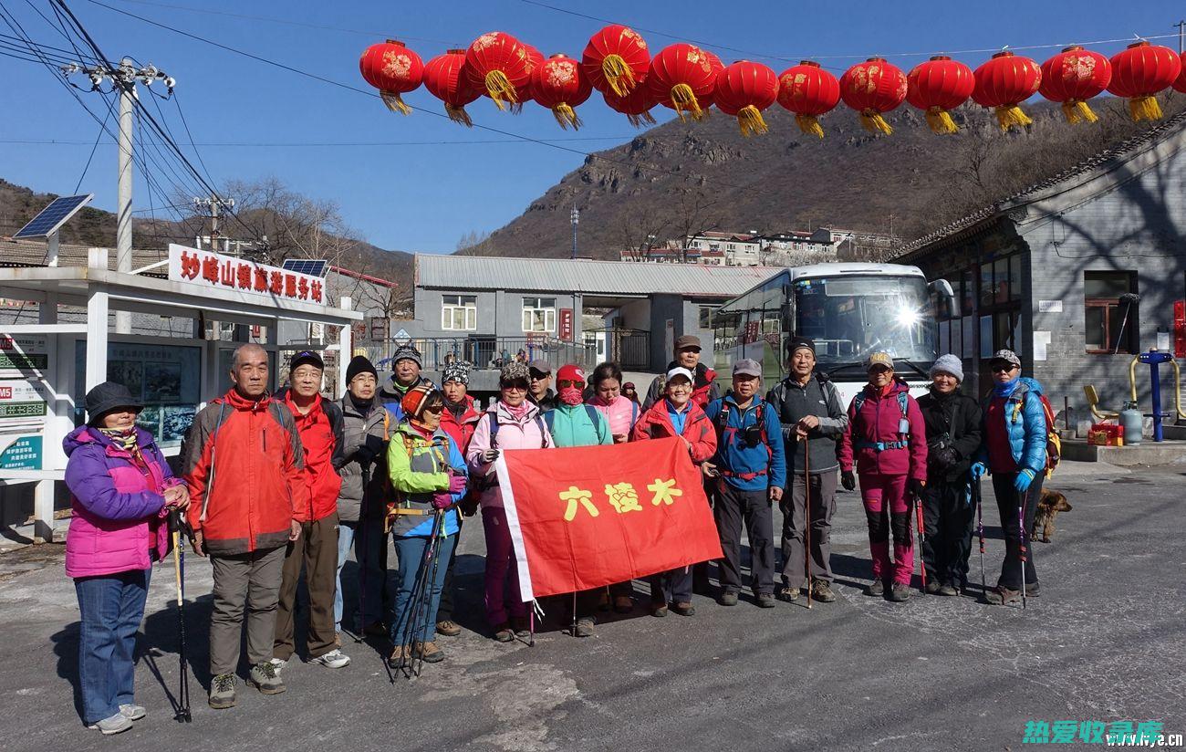 六棱木的惊人功效：探索它的医疗价值和健康益处 (六棱木有啥用)