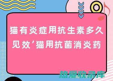 抗菌消炎：连线草中含有的连线草素、黄酮类化合物等成分具有抗菌消炎的作用，可抑制多种细菌和病毒的生长。(消炎药 莲)