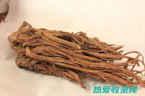 中药防脱发配方，重获秀发新机 (中药防脱发配方大全)