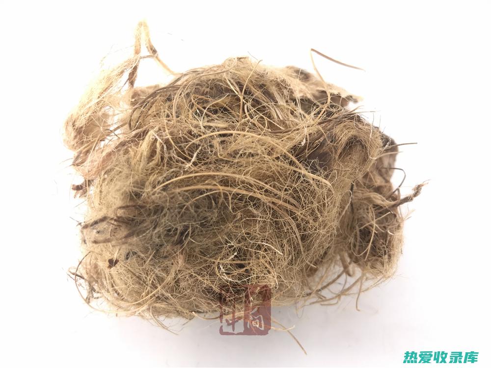 大腹皮的药用功效与医疗应用 (大腹皮的药用功效与作用)