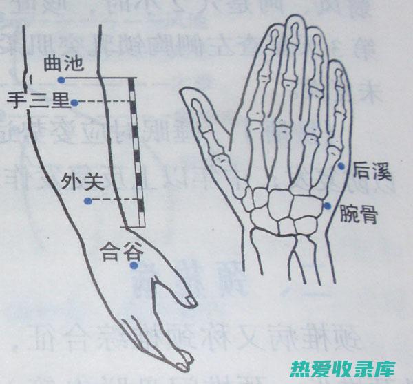 中枢穴：揭秘其强大的治疗功效 (中枢的位置与作用)