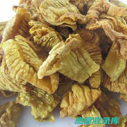 中药鸡金的药用价值及应用 (中药鸡金是什么)