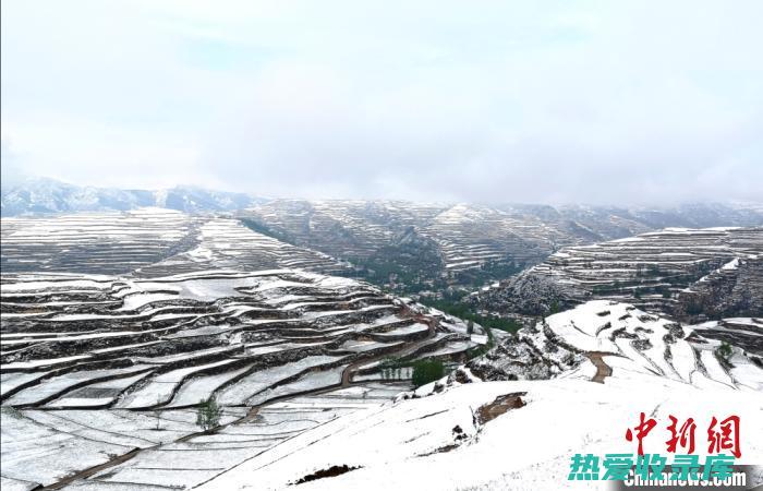 中药:千年药典的叩问与传承 (千年 中药)