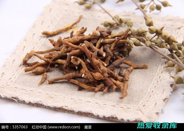 中药菖蒲的用量 (中药菖蒲的用量)