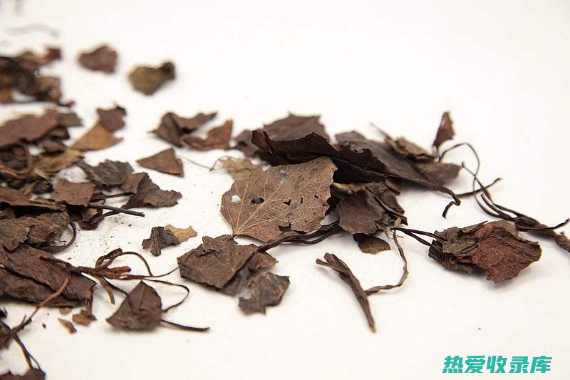 茶：将大肺筋草的叶子或根茎泡在热水中几分钟，制成茶。(茶入肺经)