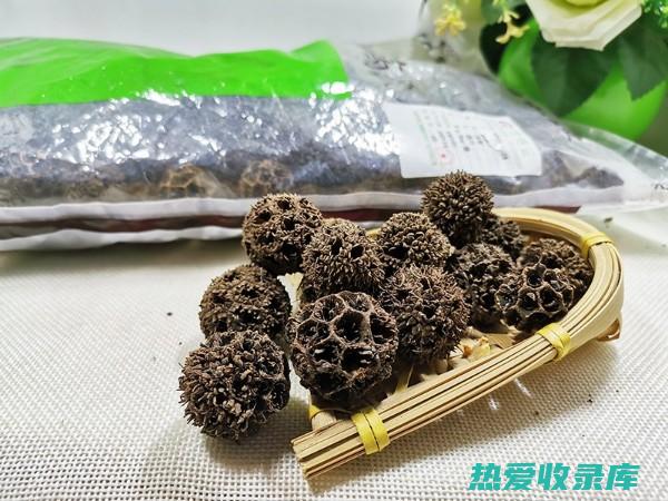 中药路路通的药用功效 (中药路路通的功效与作用及禁忌价格多少钱)