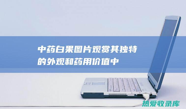 中药白果图片观赏其独特的外观和药用价值中