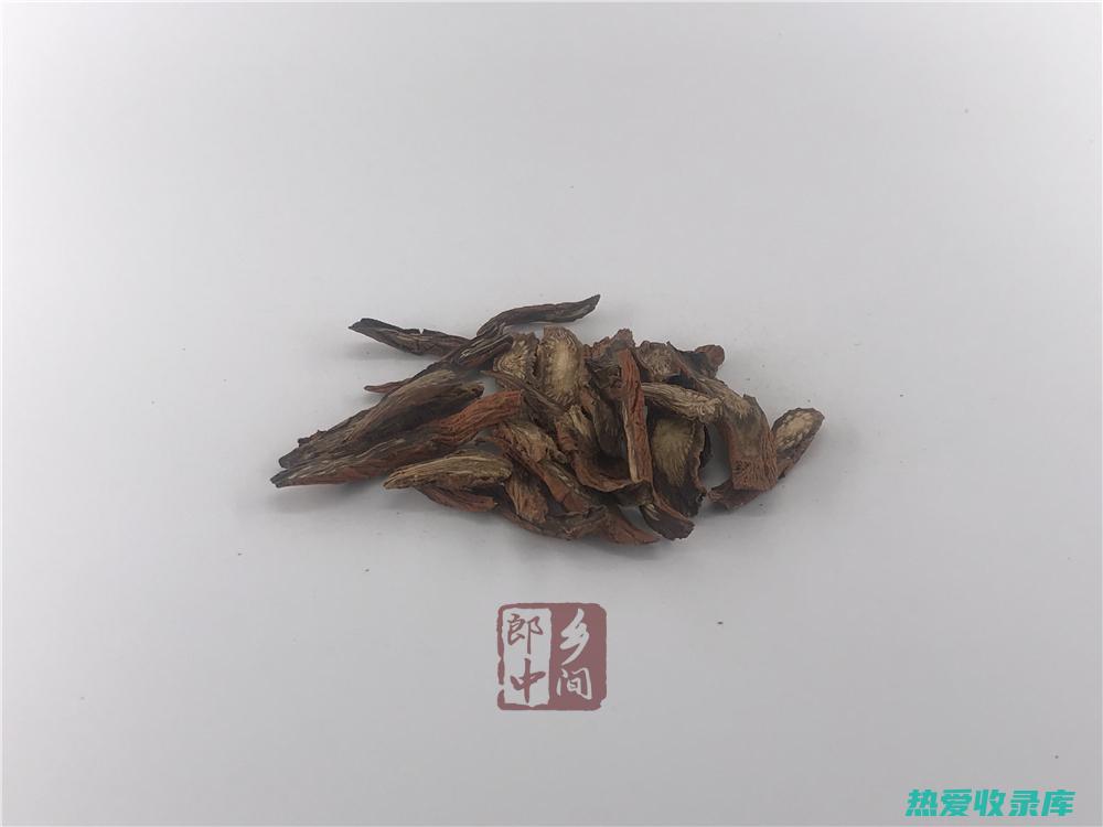 丹参：神奇的药用植物及其广泛的功效与作用 (丹参的神奇疗效)