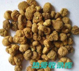 竹茹加延胡索：功效与作用揭秘 (竹茹延胡索可以一起吃吗?)