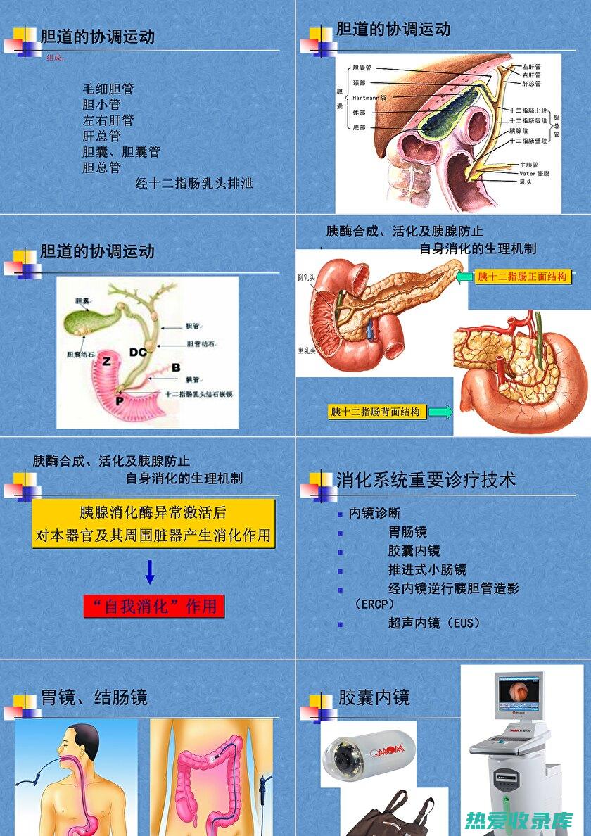 消化系统疾病：胃炎、胃溃疡、十二指肠溃疡(消化系统疾病ppt课件)