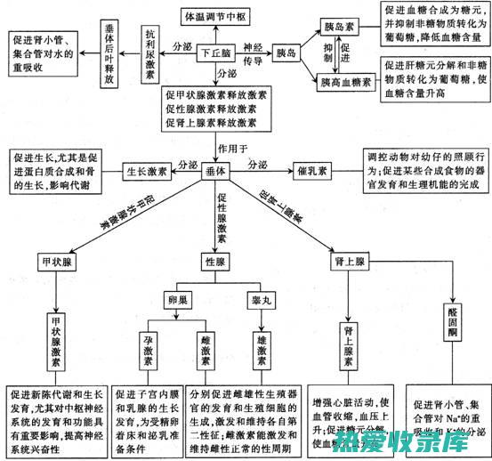 调节免疫(调节免疫力什么药物效果好)