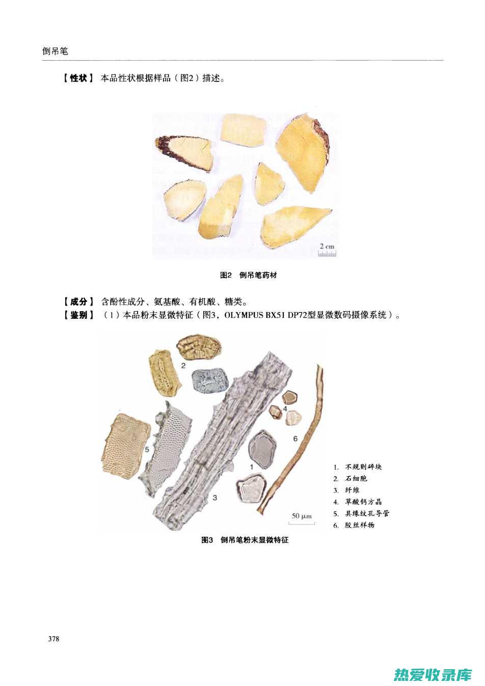 中药线芦：历史悠久、药效显著的止血良方 (药材线芦的功效与作用)