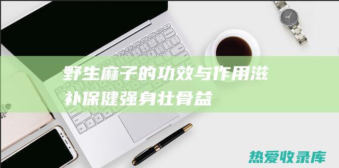 野生麻子的功效与作用：滋补保健、强身壮骨、益智安神、延年益寿 (野生麻子图片)