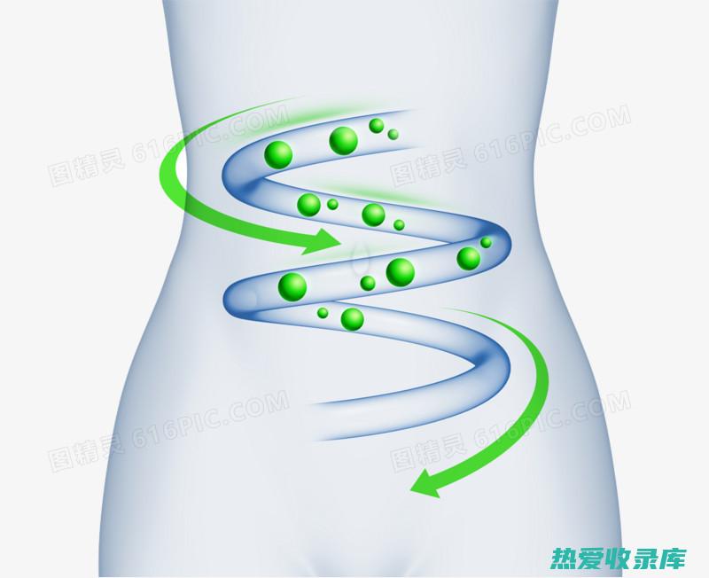 促进消化健康(促进消化健康,减轻腹泻现象)