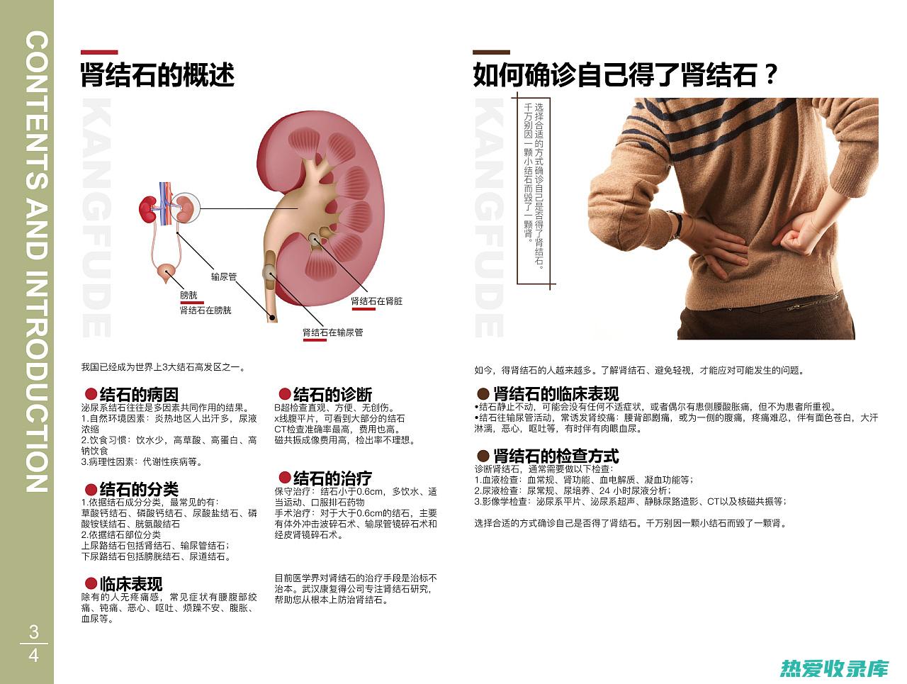 其他：泌尿系统感染、高血压等(其他泌尿系统的结构)