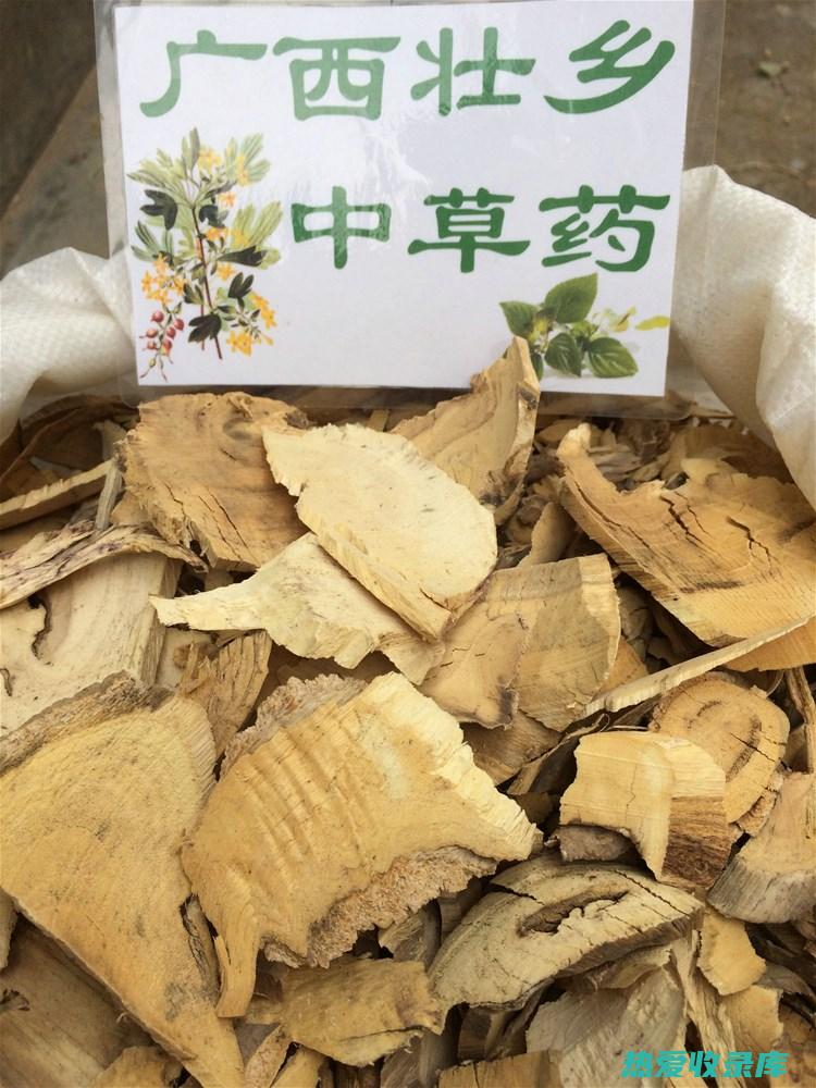 结根药材的功效：探索其非凡的治疗特性 (结根药材的功效)