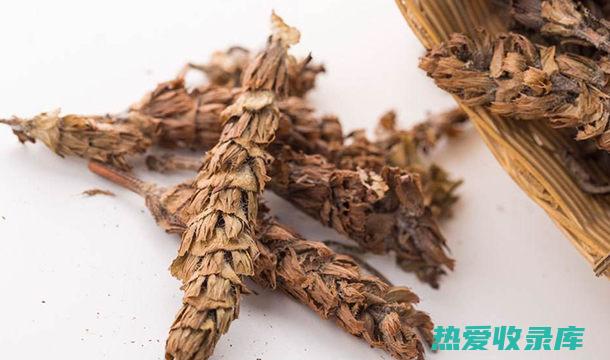 夏枯草的功效与主治 (夏枯草的功效和作用主治)