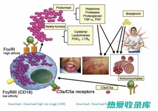 过敏反应：一些人可能对某些中药材过敏，出现皮疹、瘙痒等症状。如有过敏反应，应立即停药并就医。(过敏反应一般多久消退)