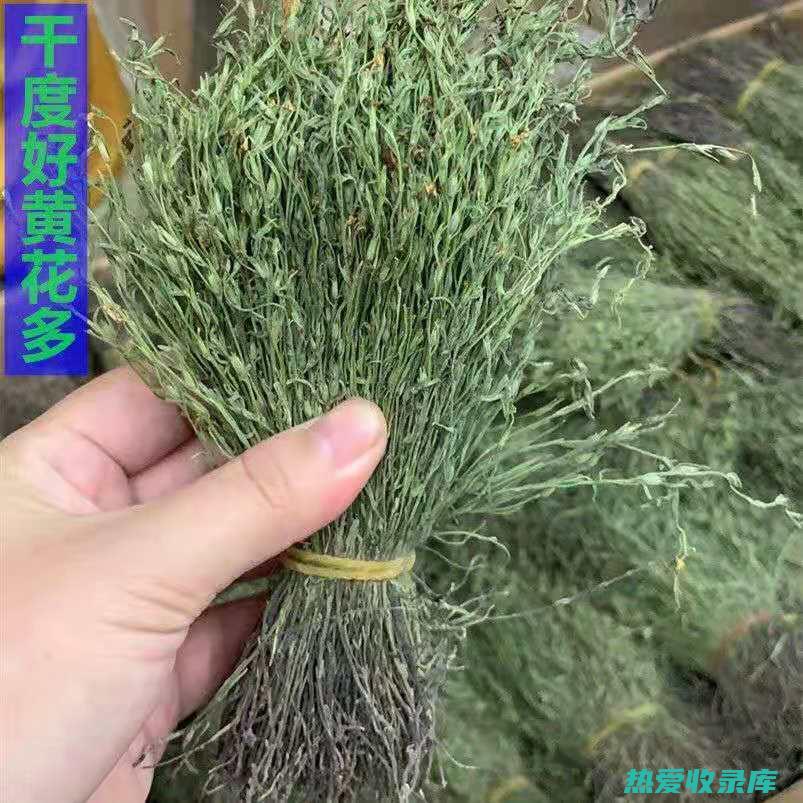 中药独脚金功效与作用 (中药独脚金功效与作用是不是健脾的)