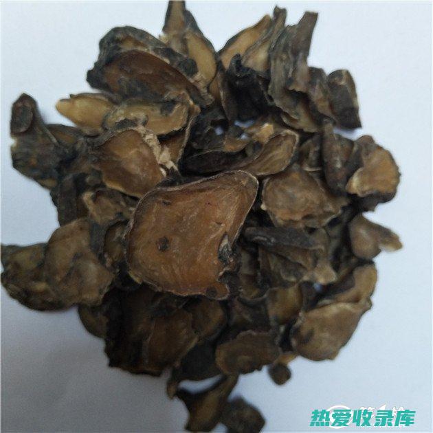 含有附子的中药 (含有附子的中药方怎么熬)