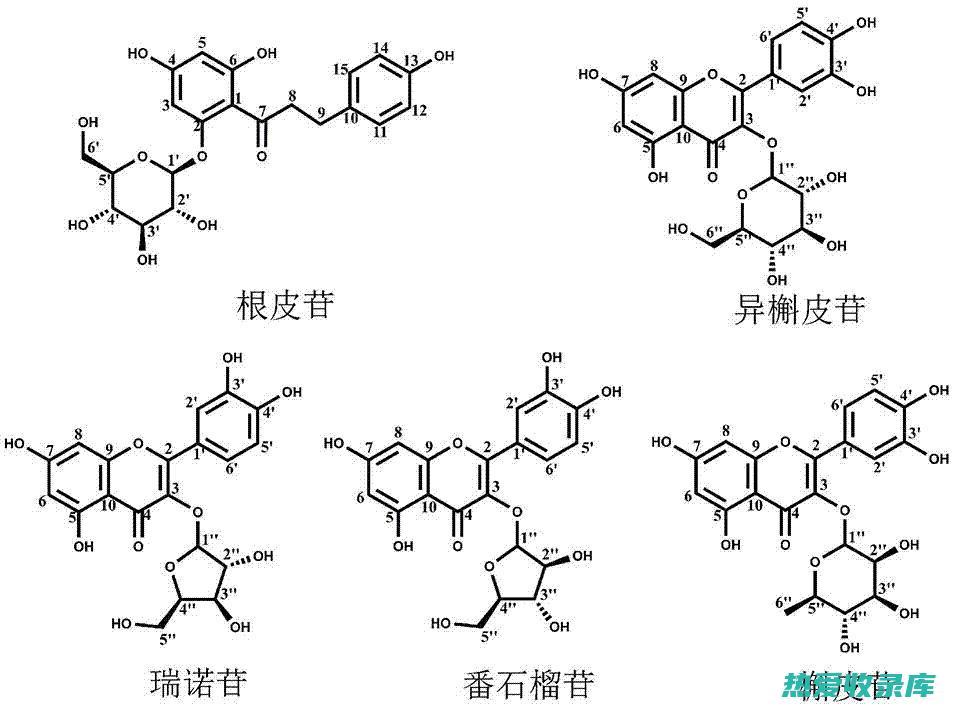 抗菌：五倍子具有抗菌作用，可用于治疗细菌性感染，如皮肤感染、口腔溃疡等。(五倍子杀菌)