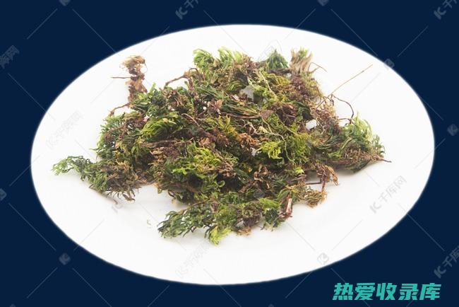 回心草的功效和用法用量指南 (回心草的功效与作用禁忌)