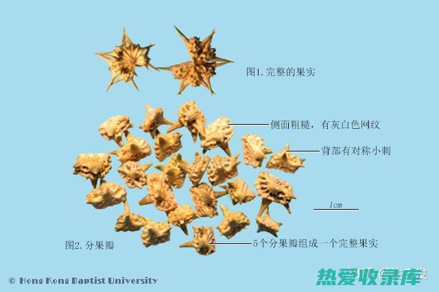 天然疗法舒缓肌肤不适