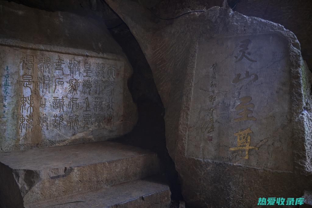 中药山七的众多功效：从止血到抗癌 (药材山七)