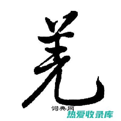 羌治的神奇功效：从治疗疾病到保健养生 (羌的功效和主治病症)