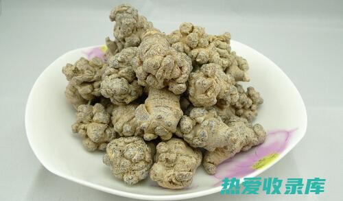 田七的功效与作用：中药常青藤的传奇魅力 (田七的功效与作用能长高吗)