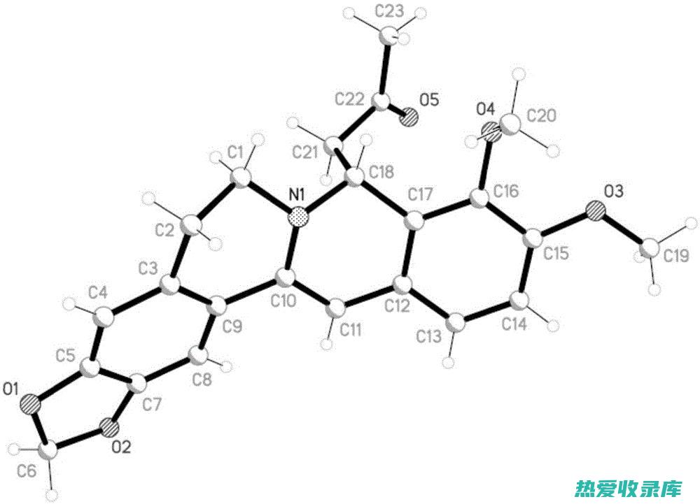 黄连及其在中医学中的应用