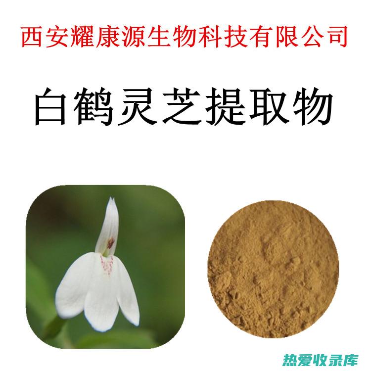 白鹤灵芝草的功效和常喝的好处 (白鹤灵芝草的功效与作用图片)