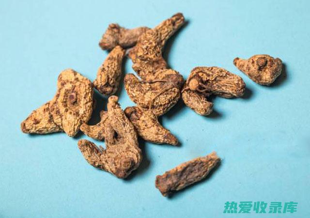 中药白芨根：功效与用法 (中药白芨根干透了是什么样的)