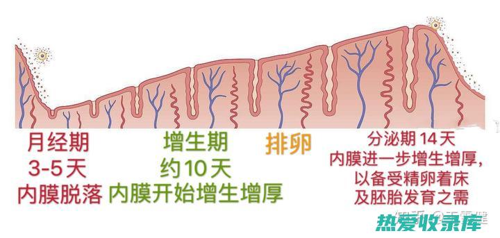 月经过多分用什么中药？ (月经过多用啥药)