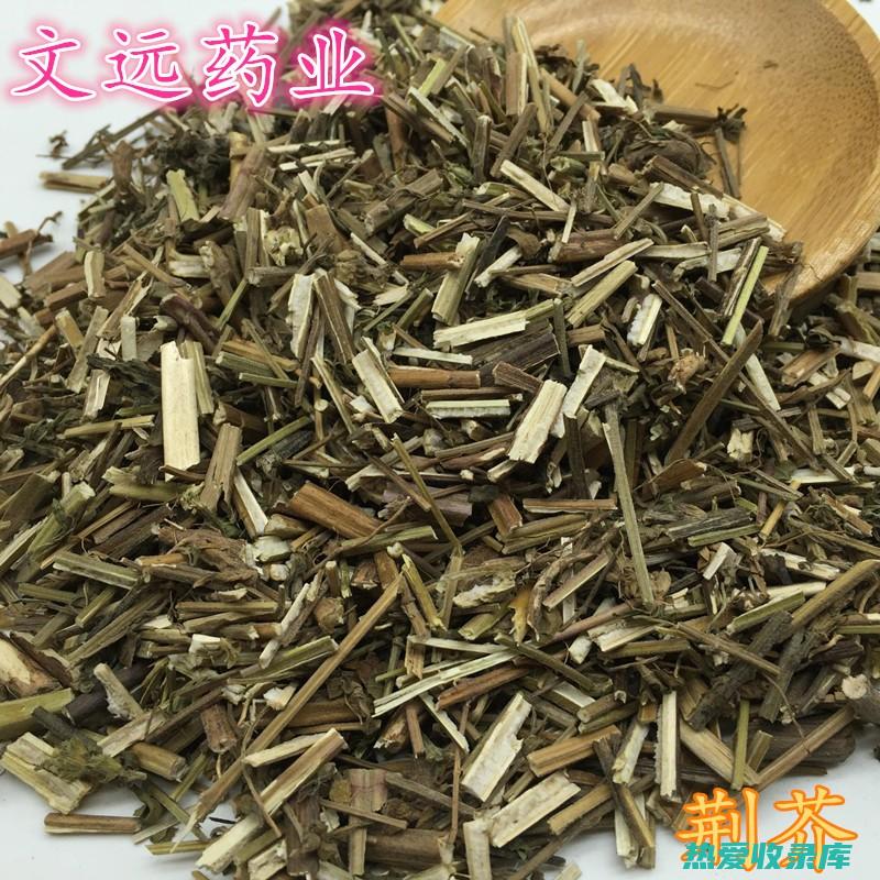 中药荆芥：功效与应用 (中药荆芥功效与作用)