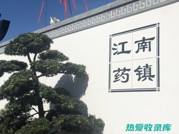 中药材产业链：从田间到药房的完整指南 (中药材产业链的延伸发展)