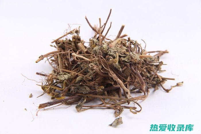 飞扬草的惊人功效与作用：从治疗疾病到增强免疫力 (飞扬草有什么用处)