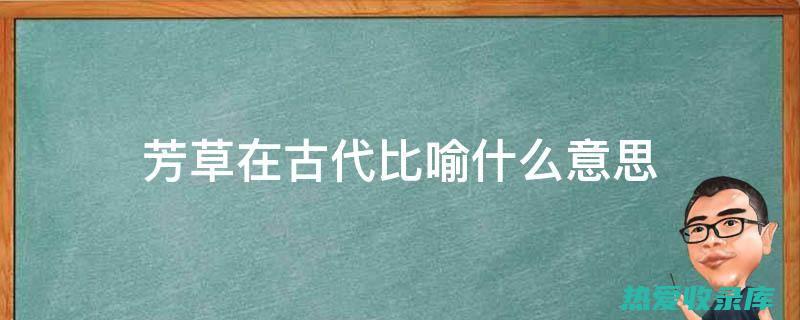 通经草的非凡功效：缓解月经疼痛，促进血液循环 (通经草作用)