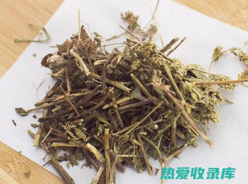 茵陈的功效 (茵陈的功效与作用主要治什么病)