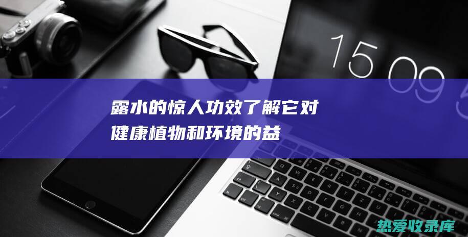 露水的惊人功效：了解它对健康、植物和环境的益处 (露水的惊人功能是什么)