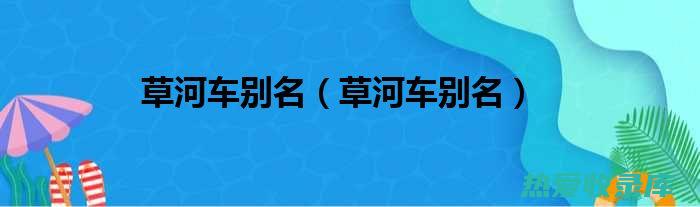 车河子的功效：探索其对健康的好处 (车河子的功效和吃法)