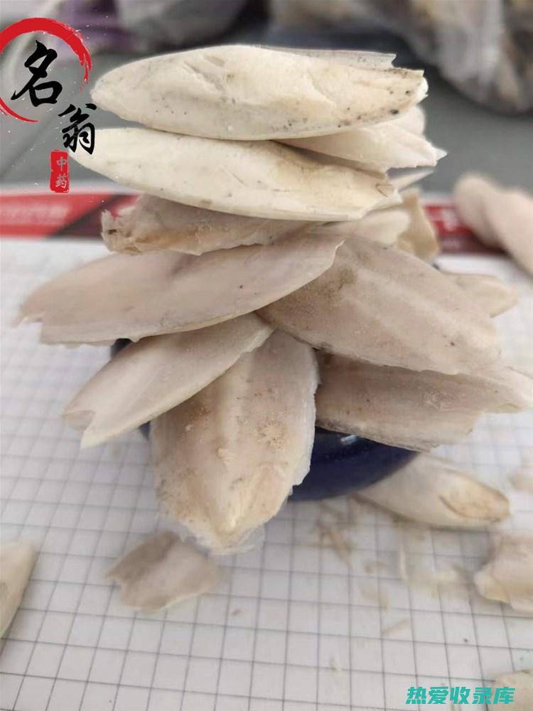 中药海螵蛸的功效与作用